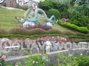 Philippine-Women-1177