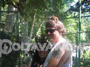 Philippine-Women-1624