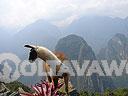 Machu-Picchu-009